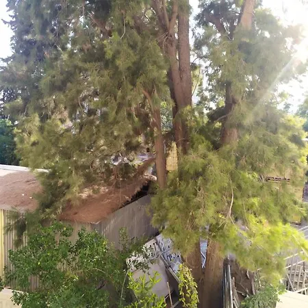 Cozy 2 Bedroom Apartment Larnaca
